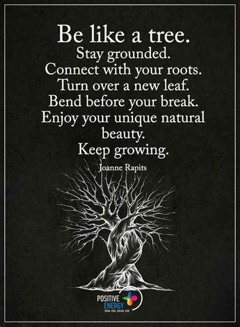 Be Like A Tree Stay Grounded Connect With Your Roots Turn Over A New