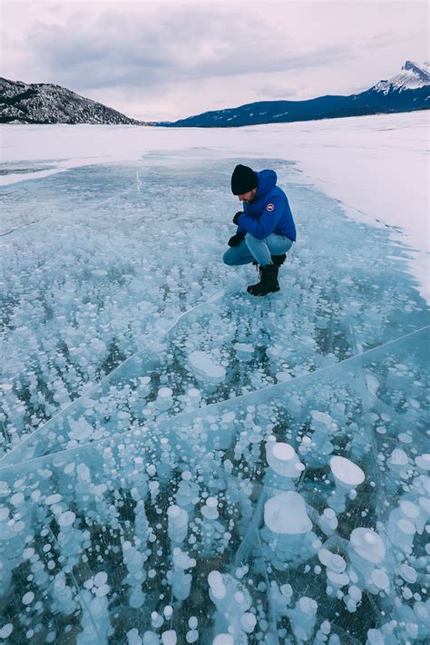 Frozen Air Bubbles In Abraham Lake