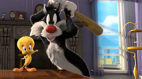 Cartoons Sylvester Cat And Tweety Bird Looney Tunes Hd Wallpaper 2560x1440