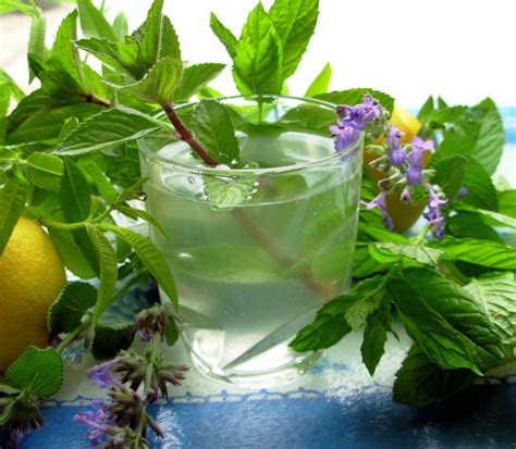 Lemon Verbena And Mint Tea French Verveine And Mint Tisane Recipe