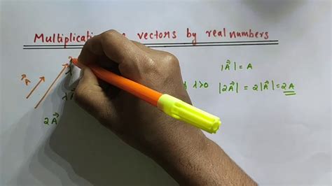 Multiplication Of Vectors By Real Numbers Class 11 Physics
