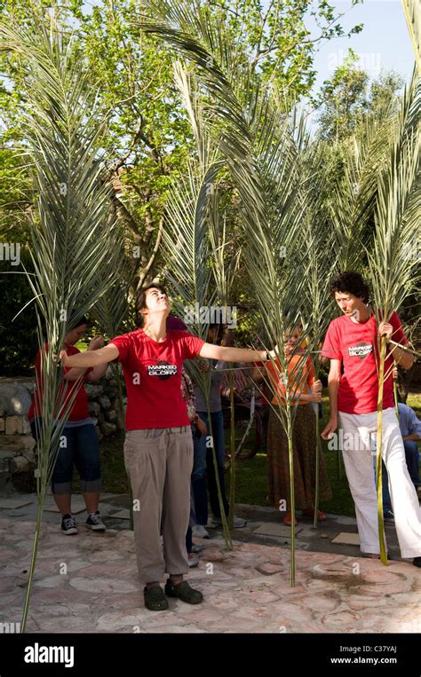 Palm Sunday In Jerusalem Stock Photo Alamy