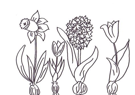 Bastelanleitungen kostenlos zum ausdrucken javan top. Frühlingsblumen malvorlagen kostenlos zum ausdrucken - Ausmalbilder frühlingsblumen #2007653 ...