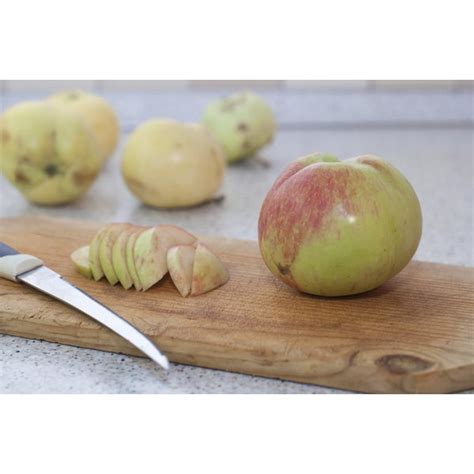Jonagold apples are a cousin of golden delicious and they have some of the same pretty golden hues in their skin. Apple Types That Are Good for Baking | Our Everyday Life