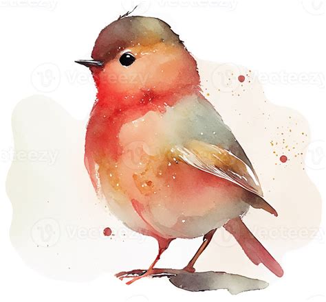 Cute Watercolor Robin Bird Ai Generative 27435944 Png