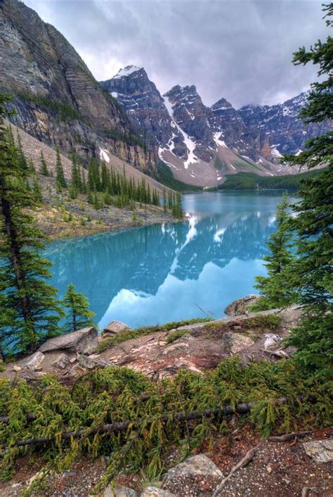 Lago Moraine En El Parque Nacional Banff Canadá Rompecabezas En Línea