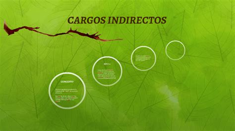 Cargos Indirectos By Alberto Del Rey