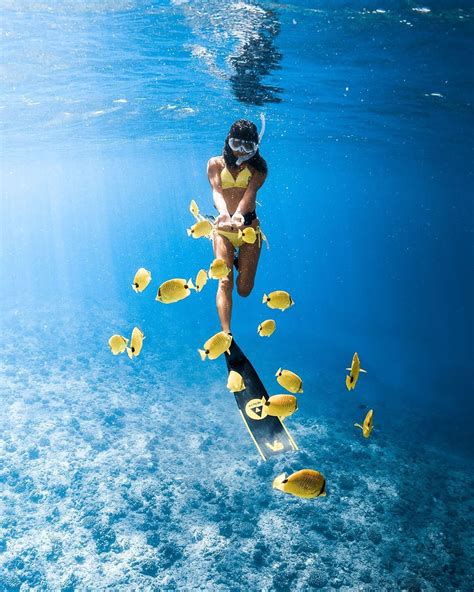 photographer diving hawaii on instagram “when you re invited into the school 🐠