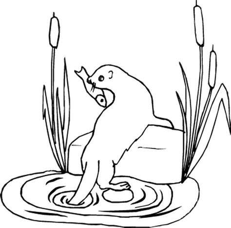 River Otter Pencil Coloring Pages