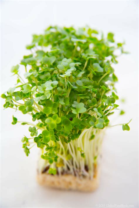 15 Astonishing Benefits Of Garden Cress Halim Seeds