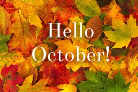 Hello October 🍂🎃🍁 Hello October Hello April Months In A Year