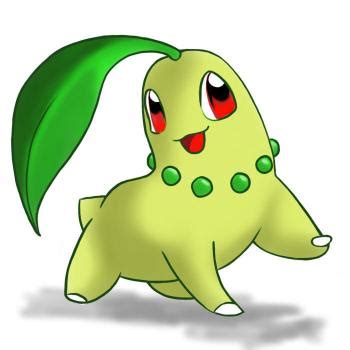 Here presented 59+ pokemon characters drawing images for free to download, print or share. How to draw chikorita - Hellokids.com