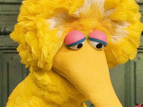 Messing With Big Bird Might Seriously Hurt Mitts Chances At Winning