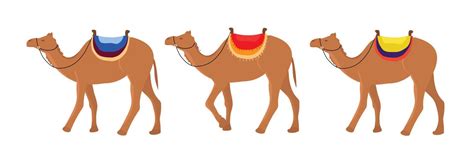 Set Of Camels Camels Are Going In Line Vector Illustration 14845322 Vector Art At Vecteezy