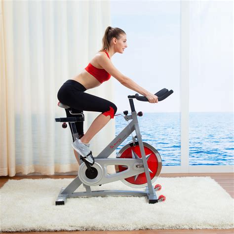sunny health  fitness pro indoor cycling bike