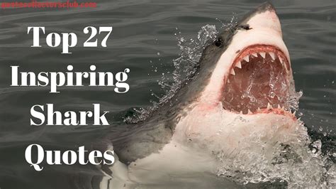 Top 27 Inspiring Shark Quotes Quote Collectors Club