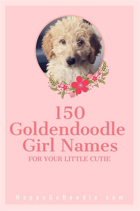 100 Unique Cute Female Dog Names Meanings Dog Sense Nz Artofit