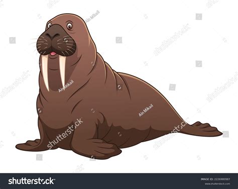 Walrus Cartoon Animal Illustration Color Stock Vector Royalty Free