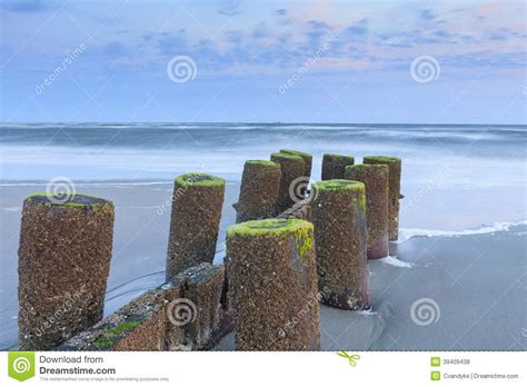 Lichen Covered Wood Pilings En Sandy Beach South Carolina Foto De