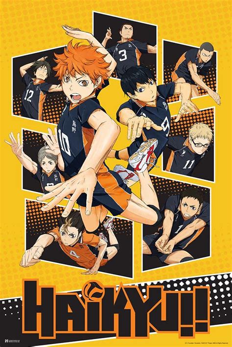 Buy Haikyuu Poster Karasuno High School Volleyball Team Shoyo Anime