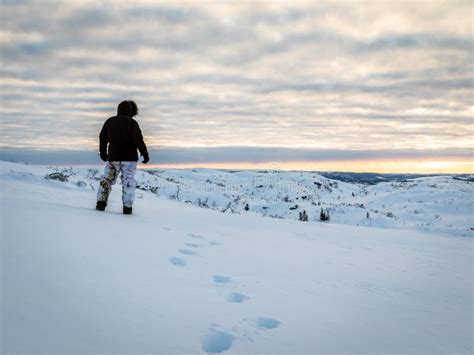 Alone Man Walking In Snow In The Wilderness At Sunrise Stock Image