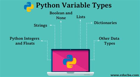 Python Variable Types Top 6 Useful Types Of Variables In Python
