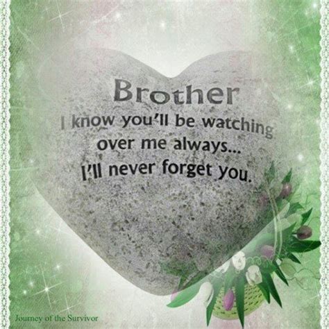 The 100 Greatest Brother Quotes And Sibling Sayings Brother Quotes