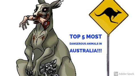 Top 5 Most Dangerous Animals In Australia Handy To Know If Your