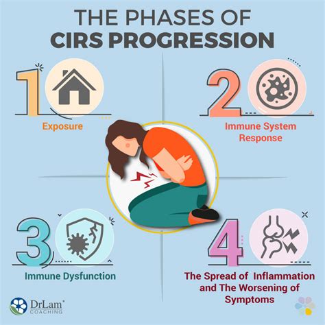 How To Deal With Chronic Inflammatory Response Syndrome Cirs 2022