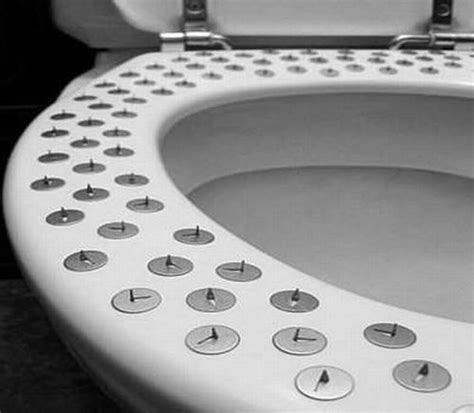 the most unusual toilets 14 photos