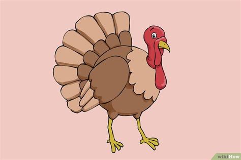 5 Ways To Draw A Turkey Turkey Art Turkey Drawing Drawings