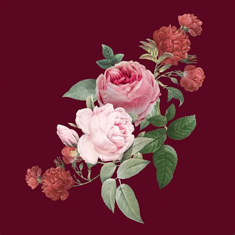 Burgundy Floral Images Free Vectors Pngs Mockups And Backgrounds