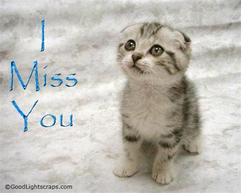 I miss you quotes for him from the heart. Miss You Comments, Miss You Graphics, Scraps for Orkut ...