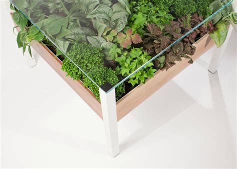The Living Table Is A Verdant Indoor Garden Hidden In Your Table
