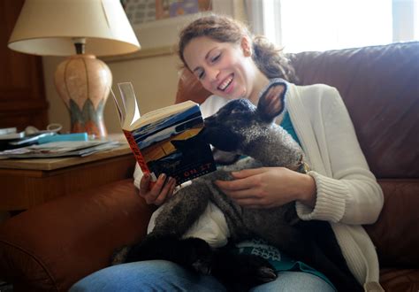 Rescued Lamb Bounces Into Girls Heart