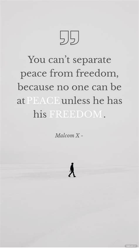 Malcom X You Cant Separate Peace From Freedom Because No One Can Be