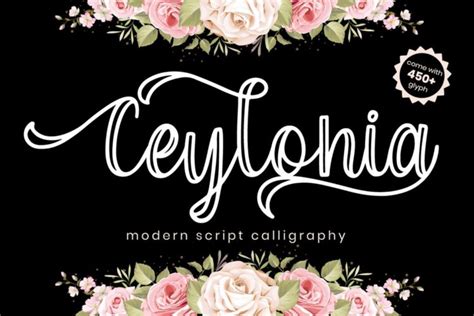 30 Best Outline Fonts 2021 Laptrinhx News