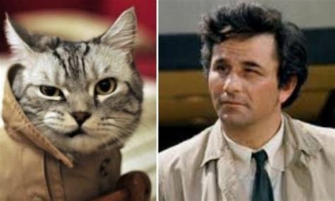Top 10 Crime Stopping Detective Cats