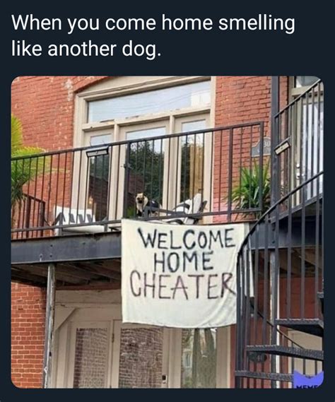 Welcome Home Cheater Meme Subido Por Knightofcydonia Memedroid