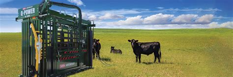 Q Power 107 Series Hydraulic Cattle Chute Arrowquip