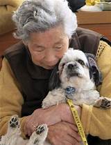Photos of Best Therapy Dog Breeds For Elderly