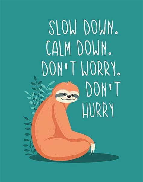 A Cartoon Slotty Sitting On The Ground With Text Reading Slow Down Calm Down Dont Worry Dont Hurry