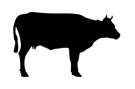 Cow Clip Art Image Silhouette Animaux Animaux Vache Noire