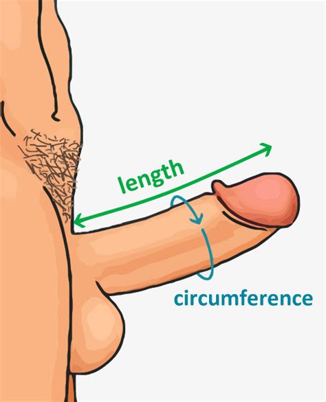 Micropenis Inch Erect Girth Measured Full Hd Porn Free Site Archive