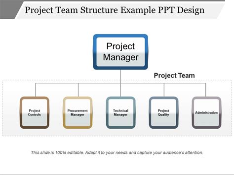 Project Team Structure Example Ppt Design Powerpoint Templates