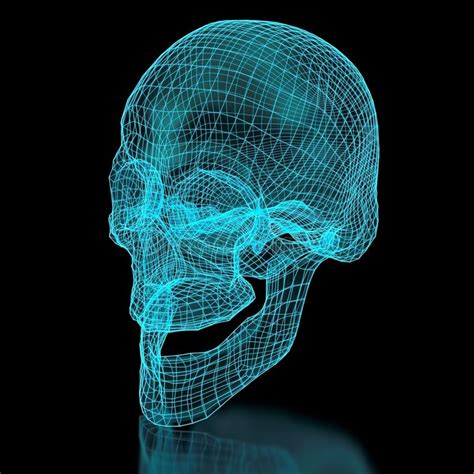 Human Skull In Perspective View Stock Illustration Illustration Of
