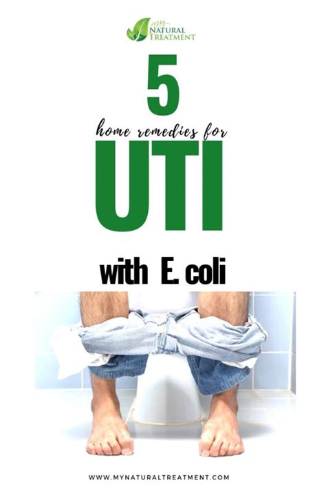 5 Amazing Home Remedies For Uti With E Coli Infection Uti