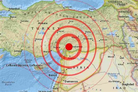 Terremoto Turchia In Arrivo Aiuti Internazionali C Anche L Italia