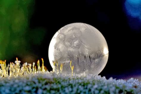 These Photos Of Frozen Bubbles And Crystals Are So Beautiful Theyll