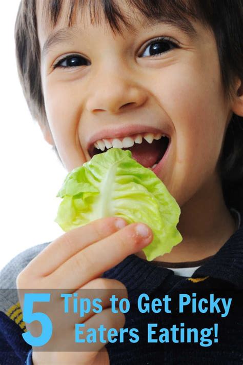 5 Tips To Encourage Picky Eaters Picky Eaters Healthy Meals For Kids